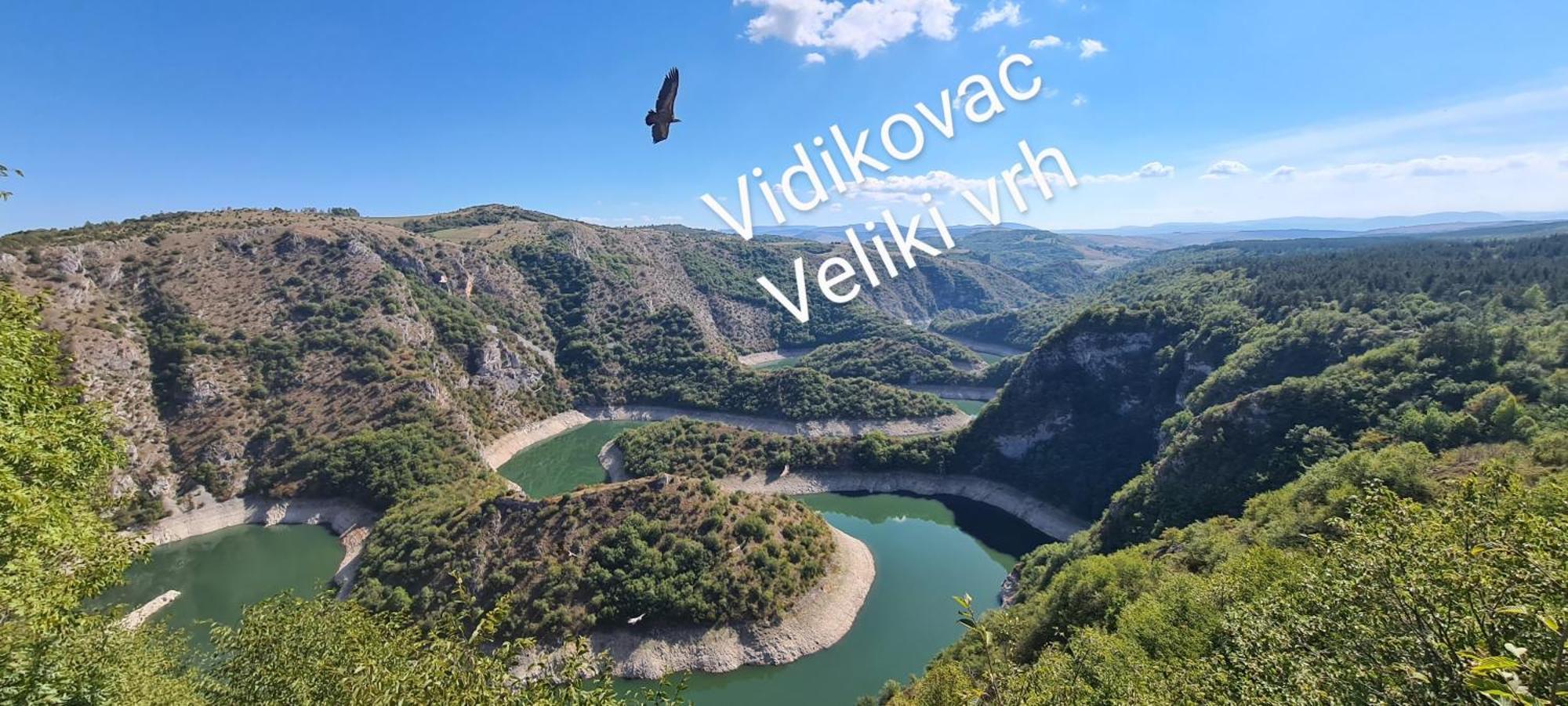 Markove Kolibe 2, Uvac 谢尼察 客房 照片